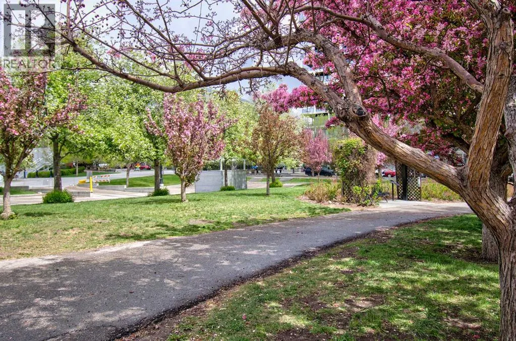 515, 955 Mcpherson Road NE