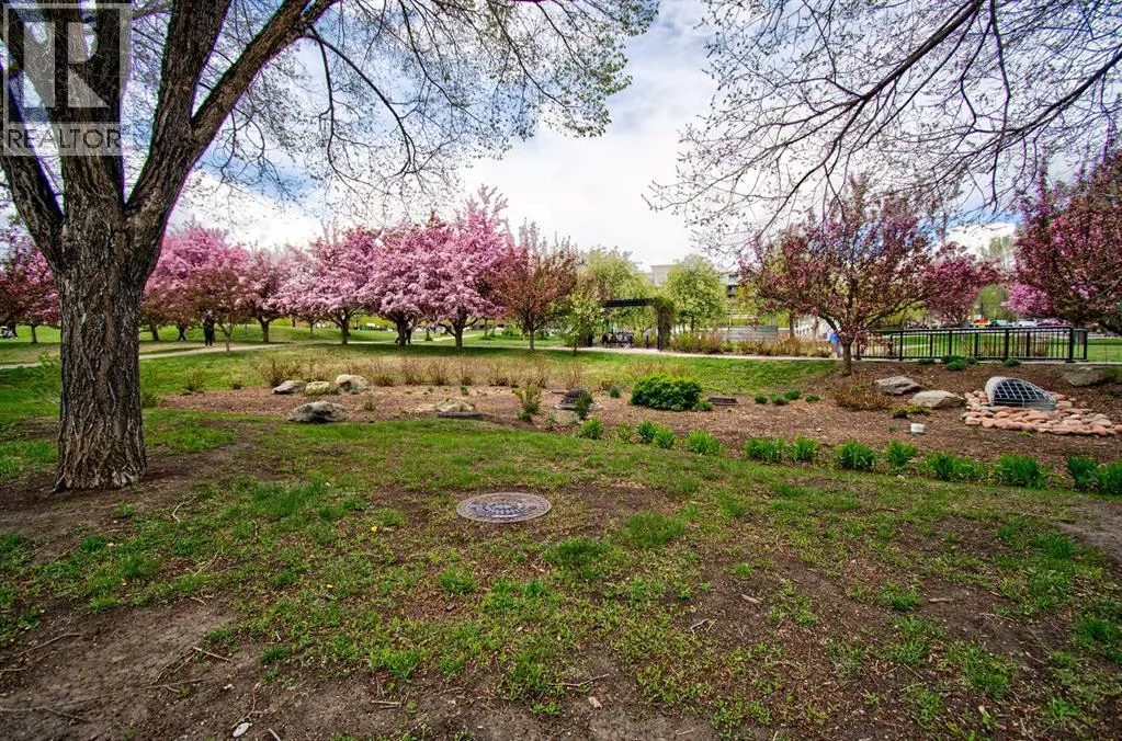 515, 955 Mcpherson Road NE