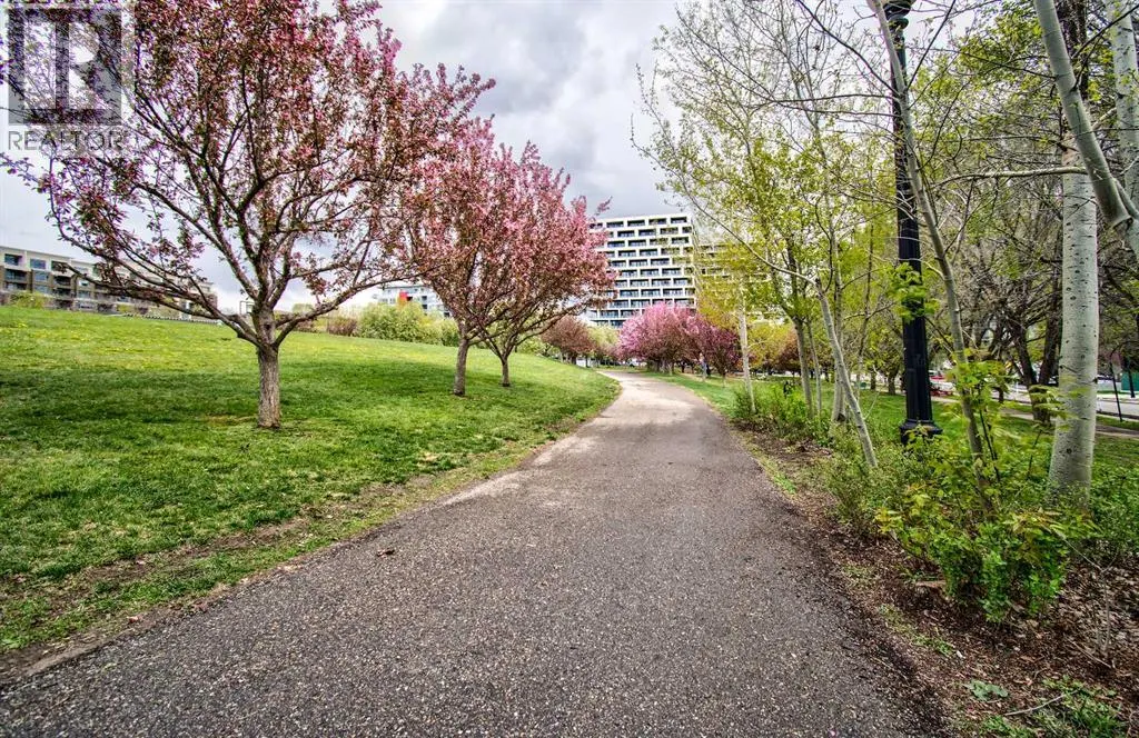 515, 955 Mcpherson Road NE