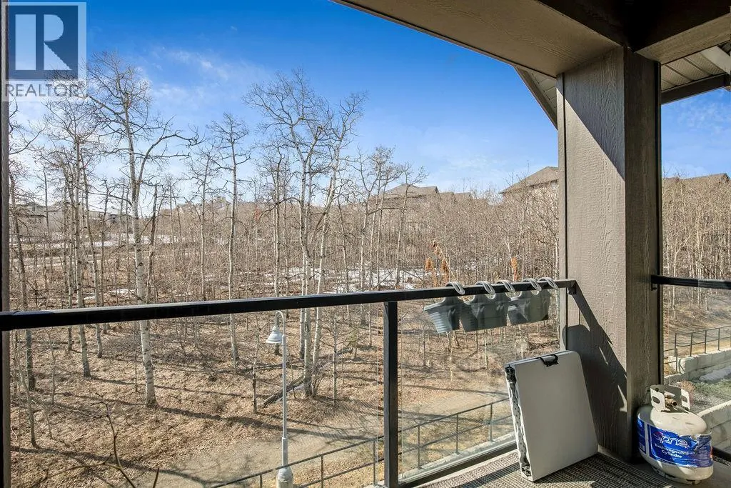 313, 25 Aspenmont Heights SW