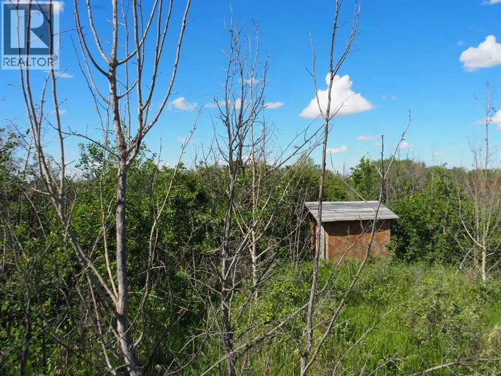 1,  Buffalo Drive