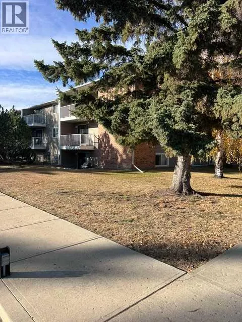 303, 49 Bennett Street