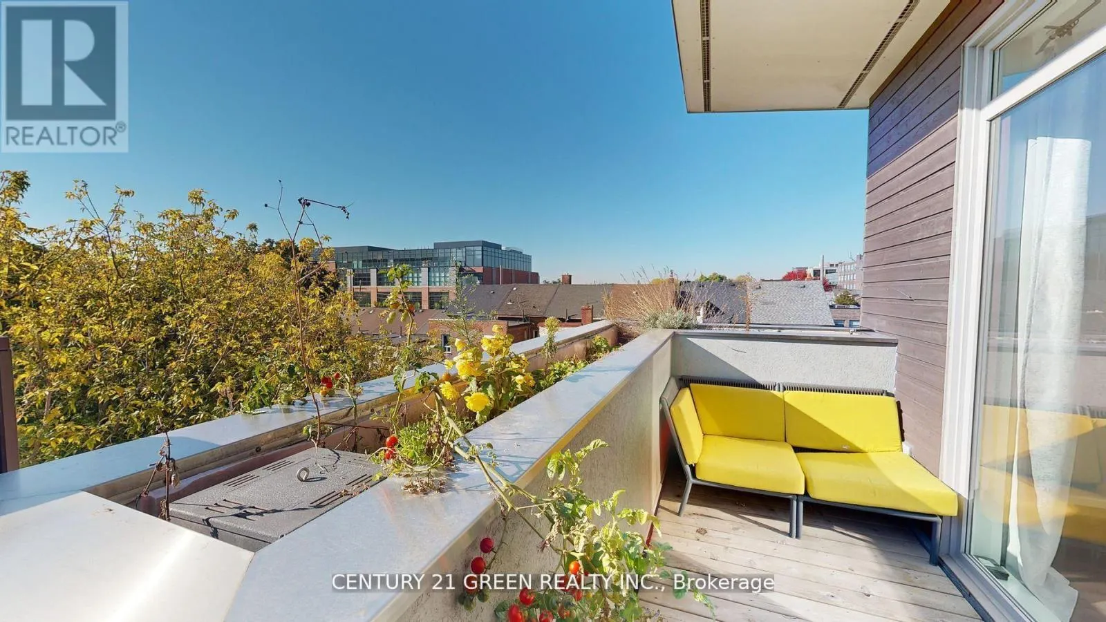 8 - 56 LIPPINCOTT STREET