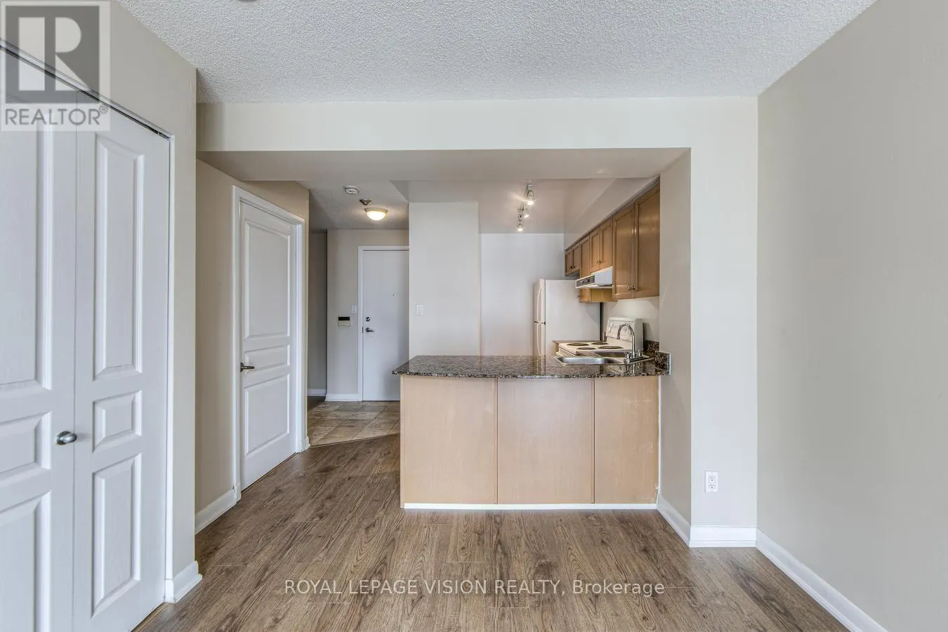 1462 - 313 RICHMOND STREET E