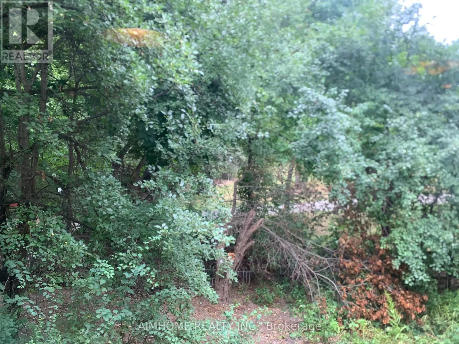 2 AUDUBON COURT