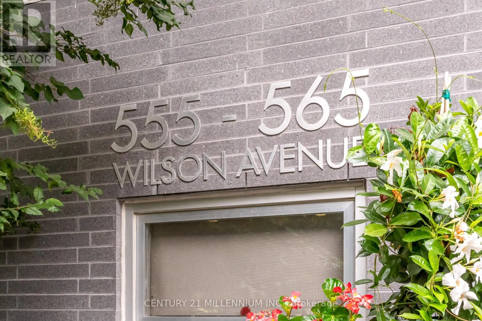 513 - 565 WILSON AVENUE