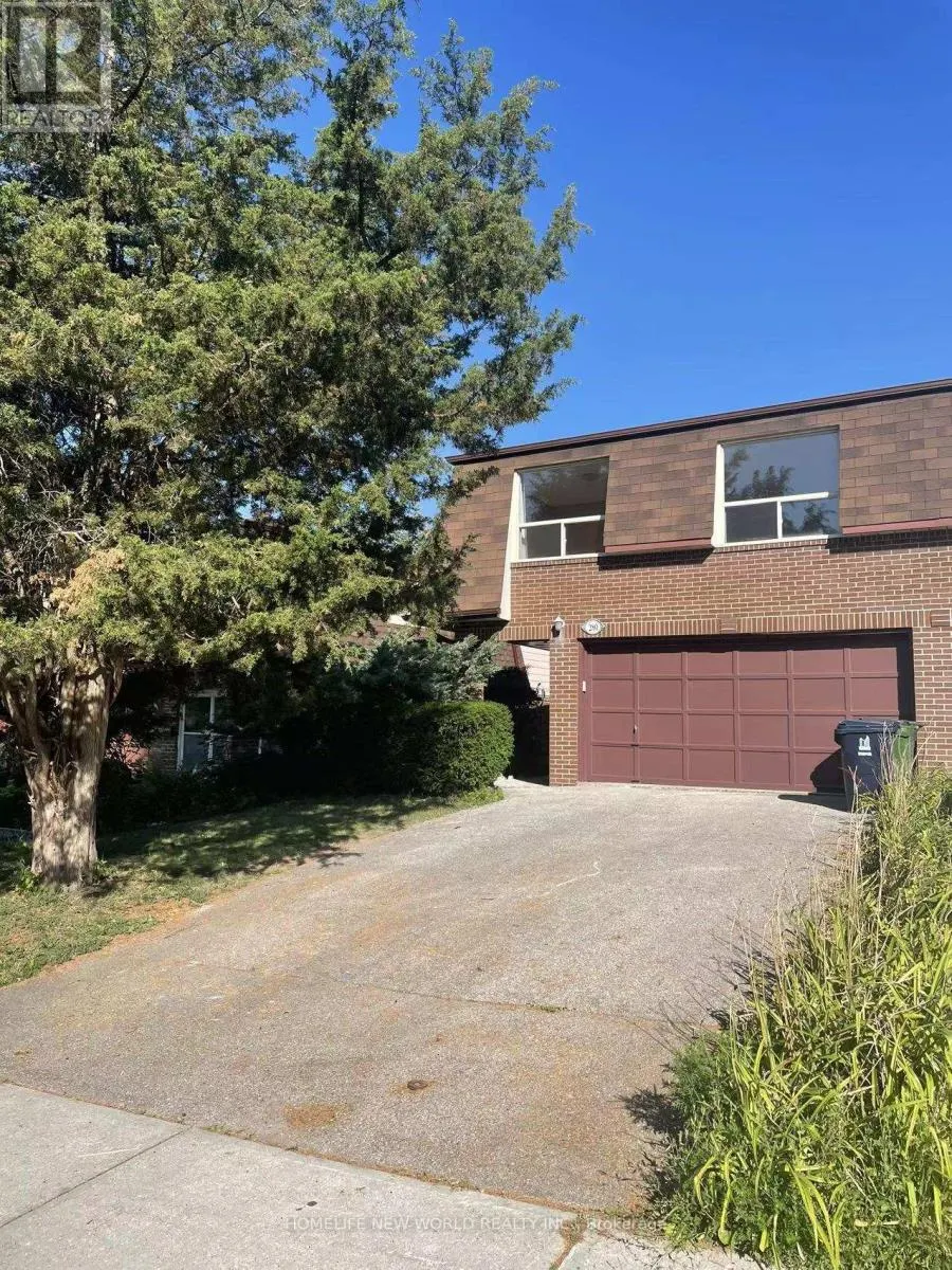 GROUND - 280 MCNICOLL AVENUE
