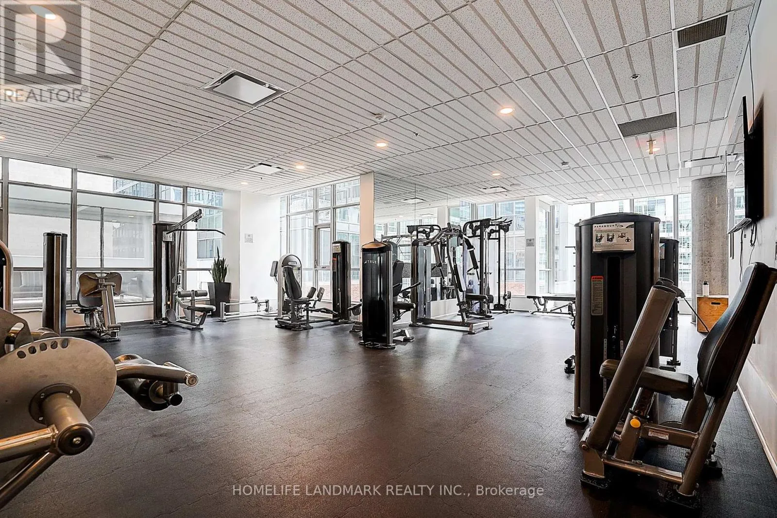 3103 - 375 KING STREET W