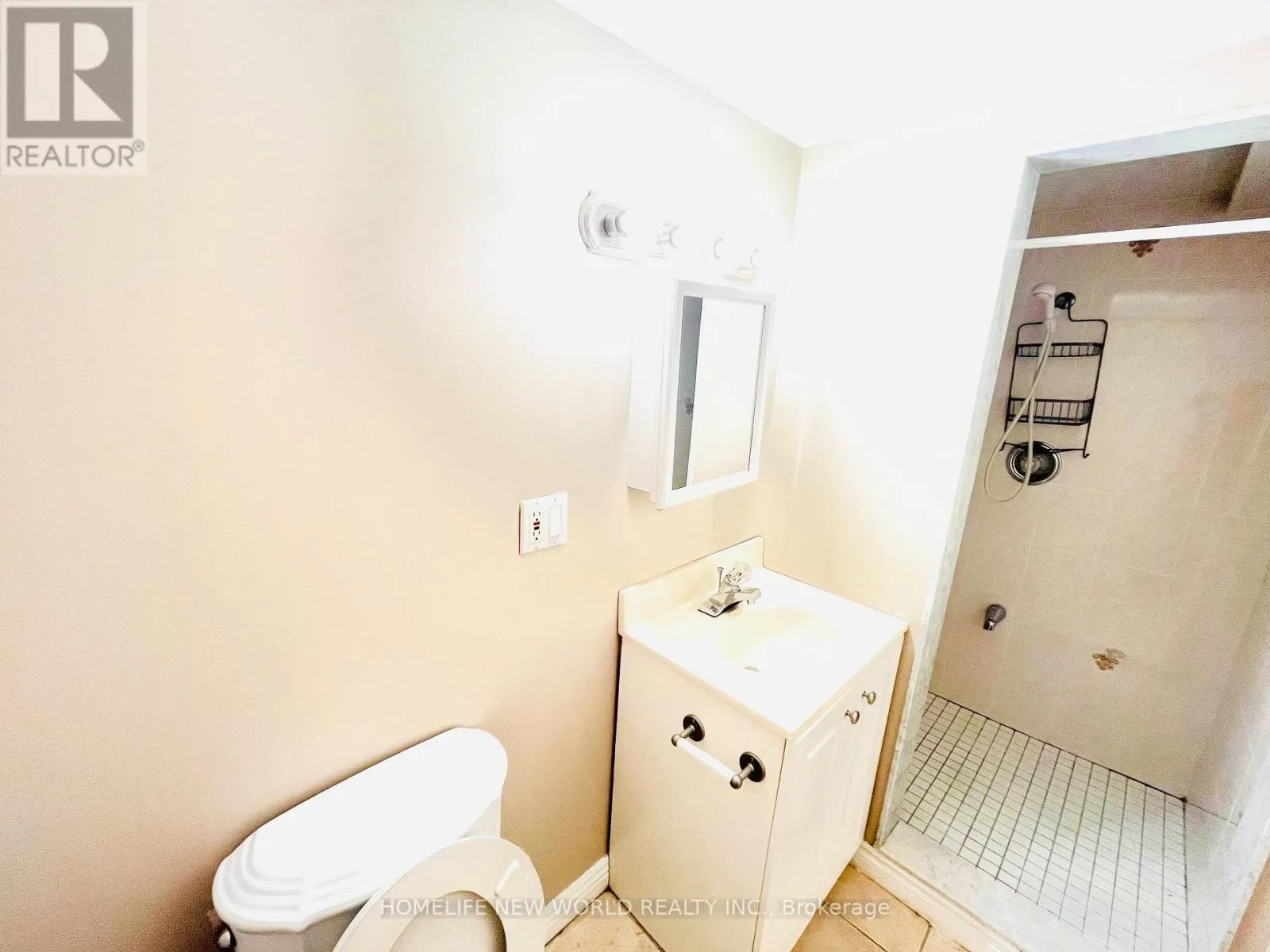 BSMNT - 219 DUNVIEW AVENUE