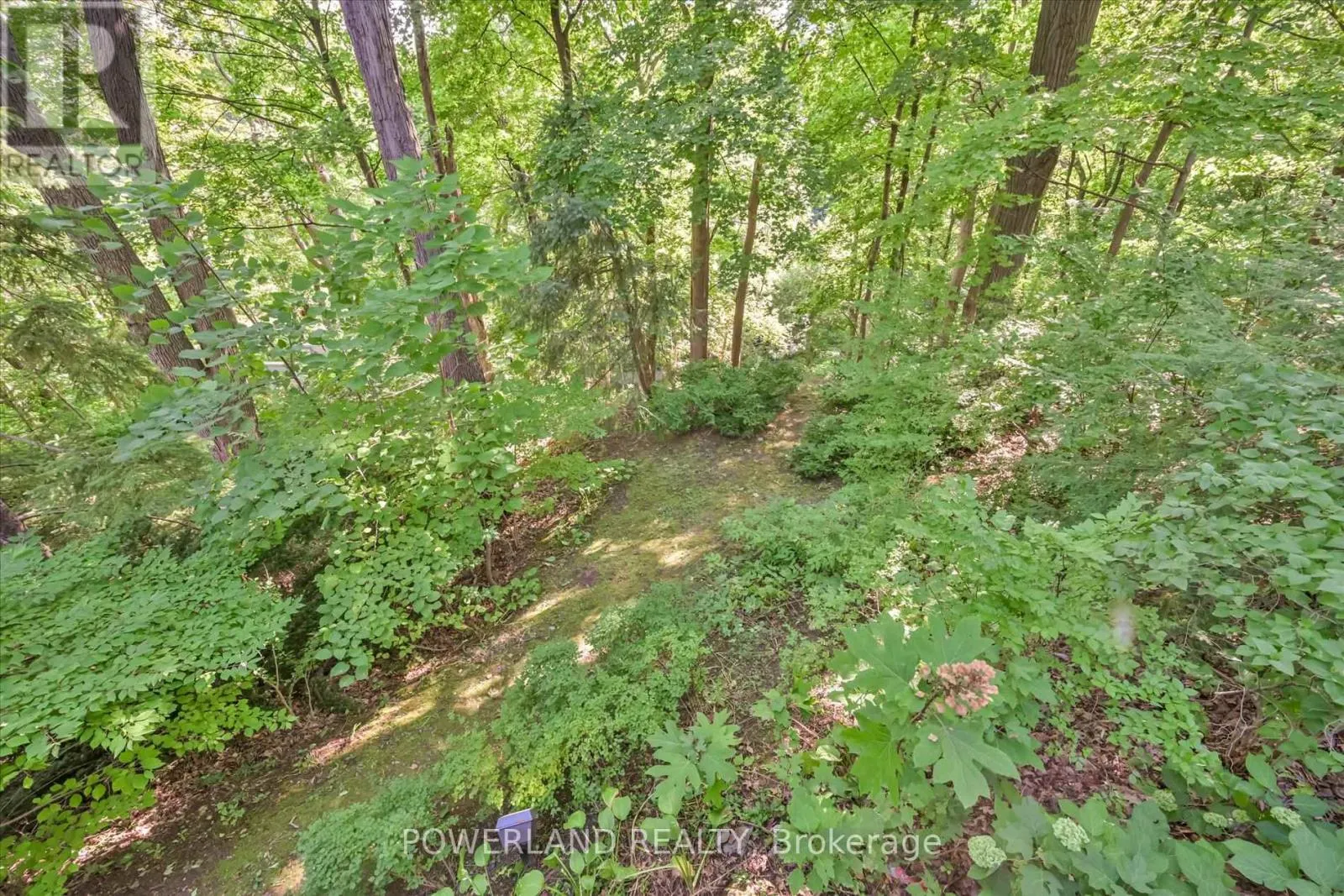 94 INGLEWOOD DRIVE