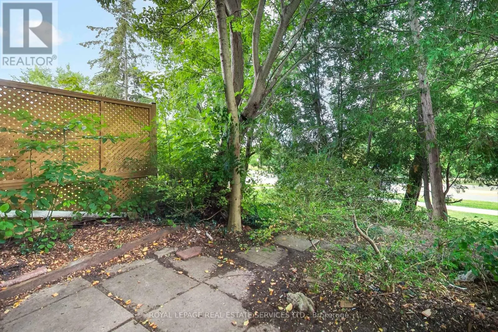 54 - 6 LEITH HILL ROAD