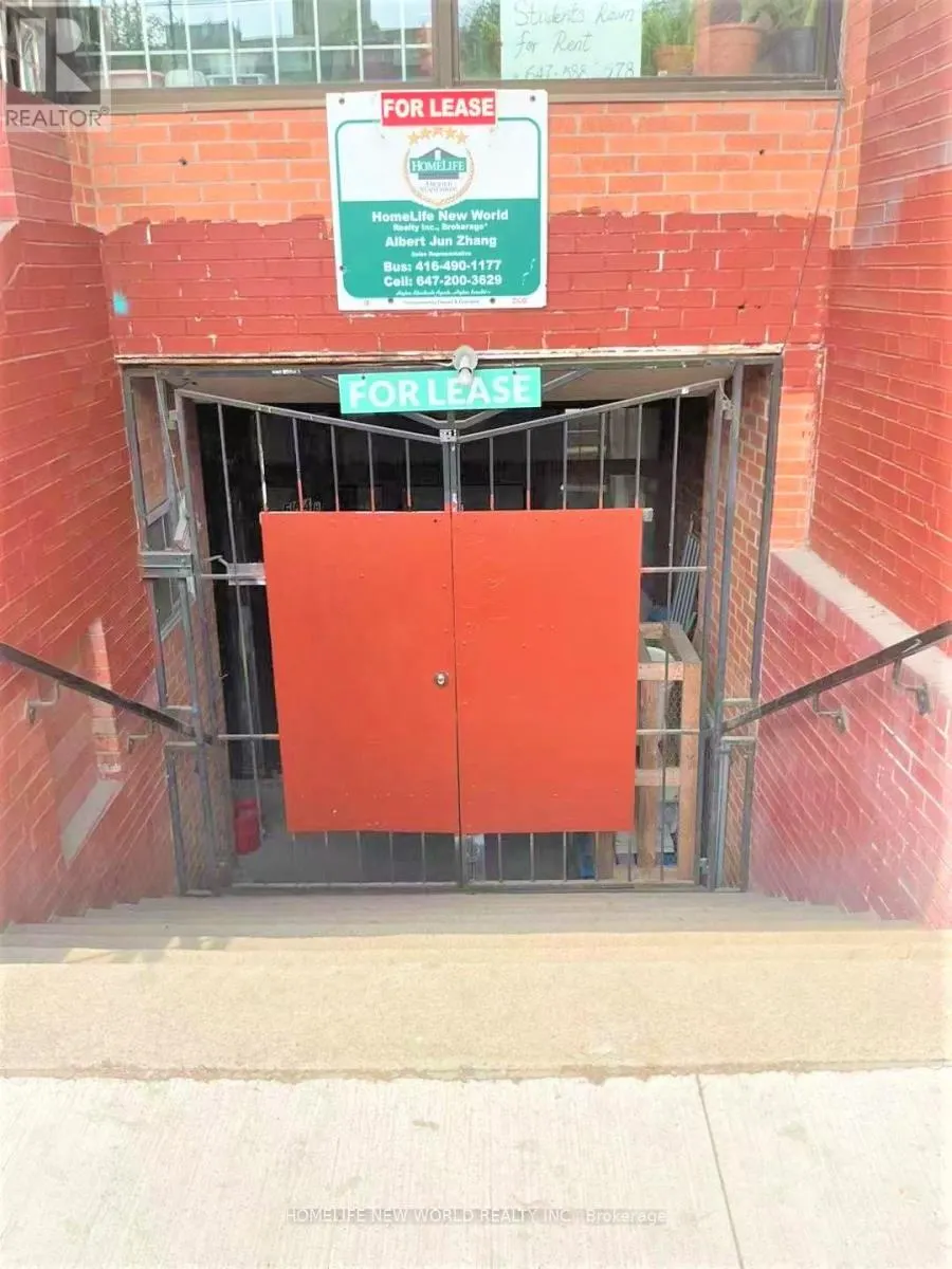 LOWER LEVEL BASEMENT - 584 DUNDAS STREET W