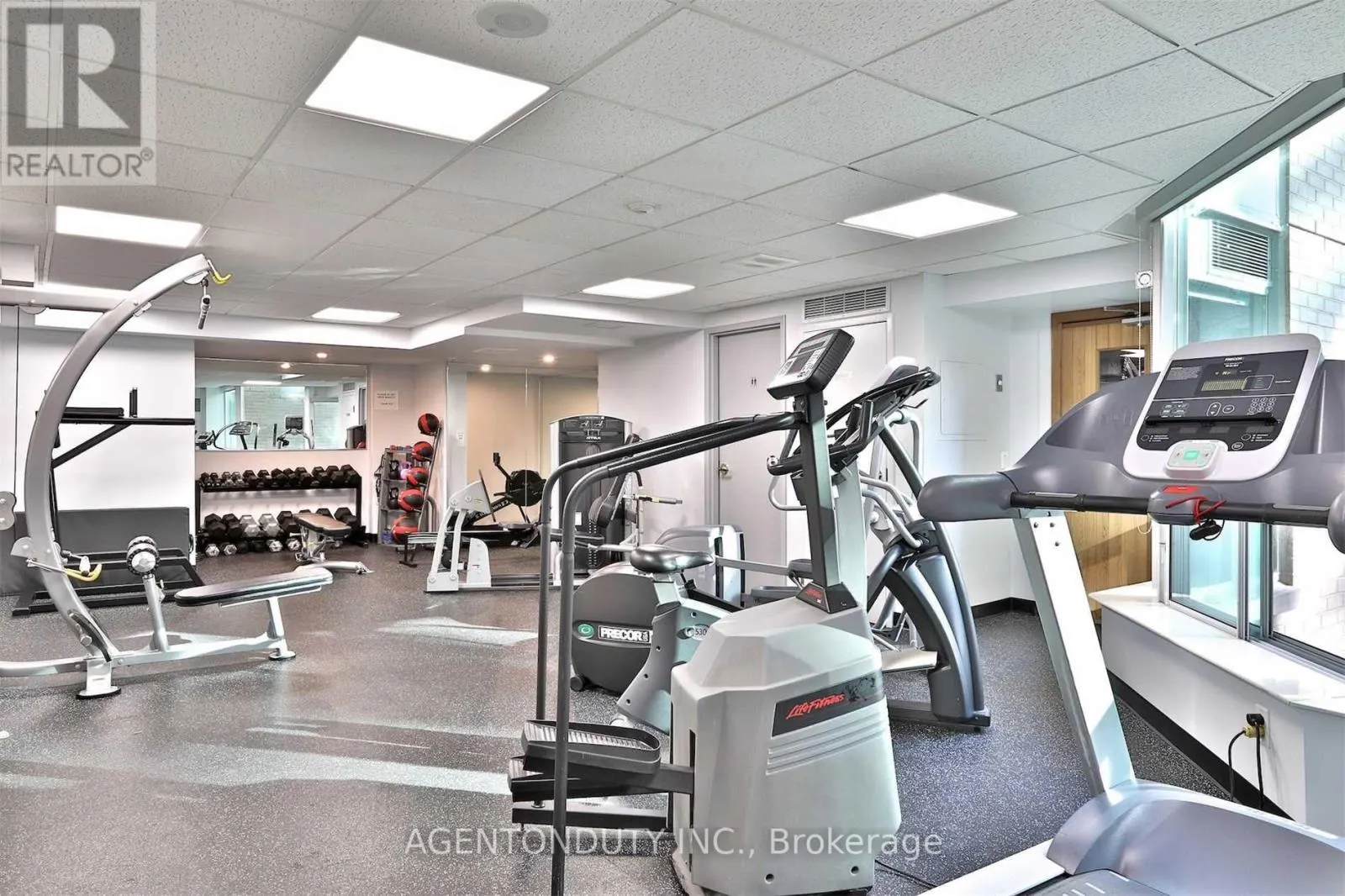 1135 - 109 FRONT STREET E