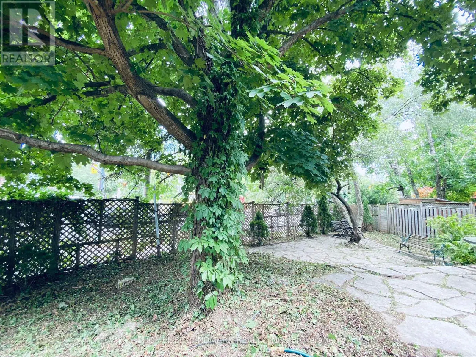 UPPER - 256 ORIOLE PARKWAY