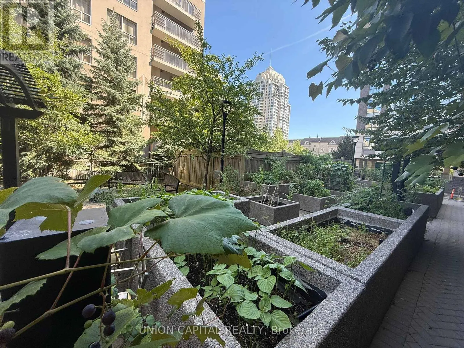 405 - 17 KENASTON GARDENS