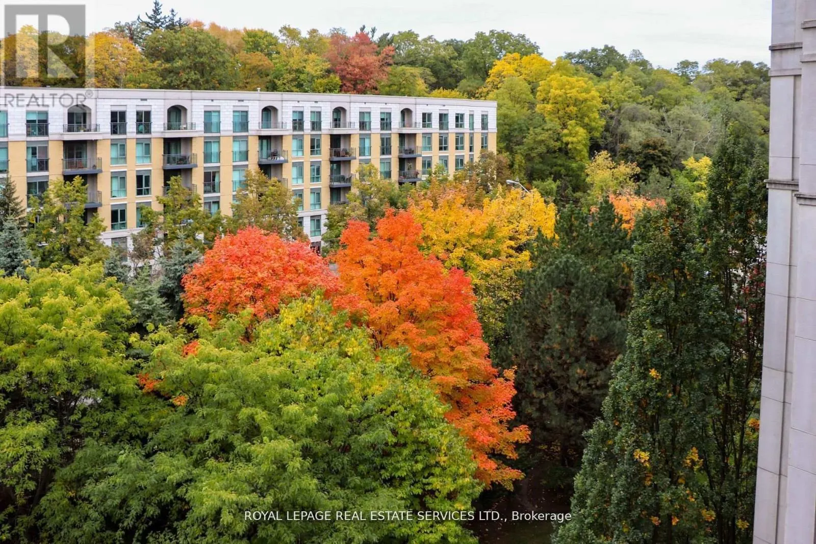 811 - 18 WILLIAM CARSON CRESCENT