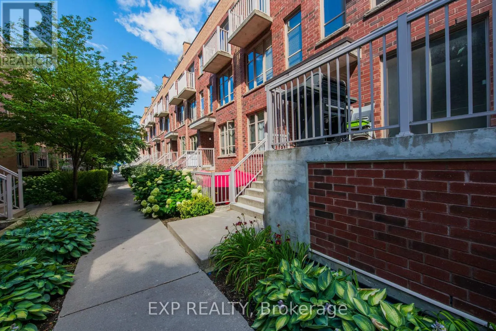 242 - 21 RUTTAN STREET