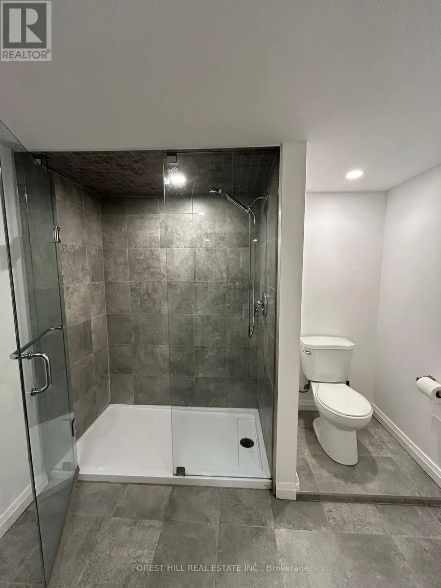 BASEMENT - 284 HOUNSLOW AVENUE