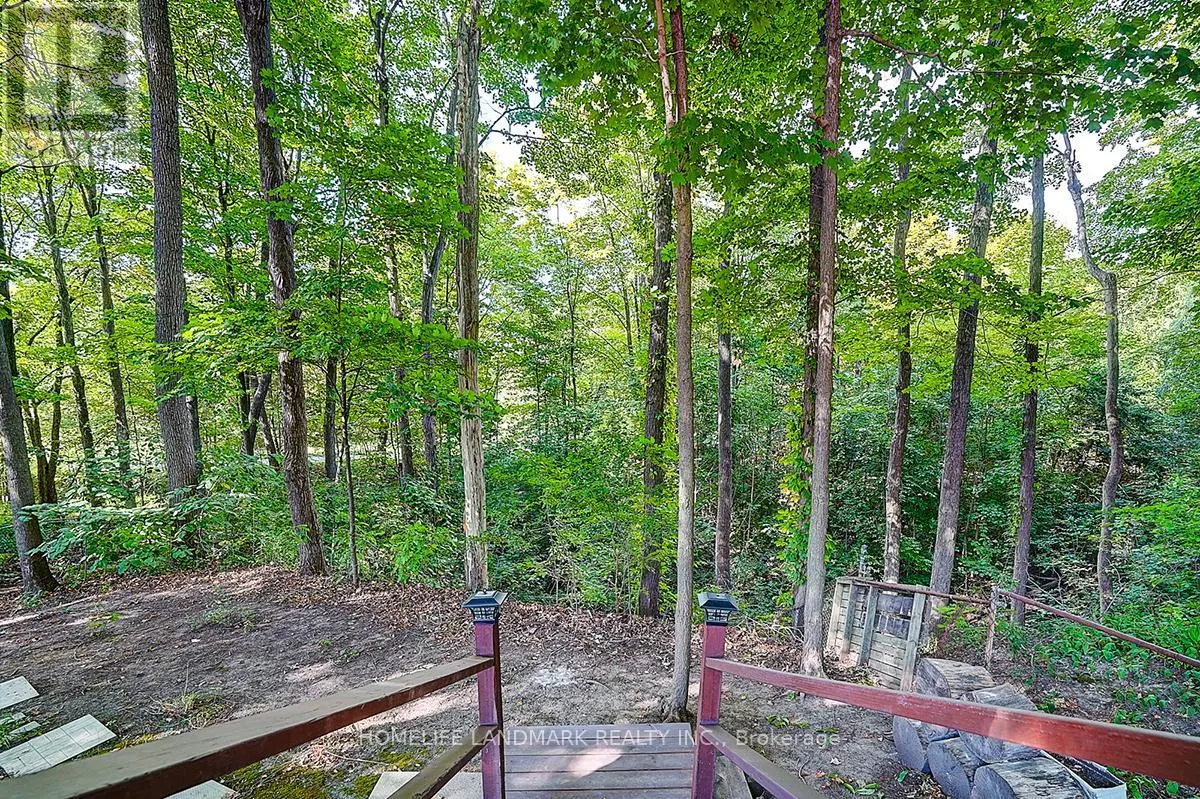 39 SAGEBRUSH LANE