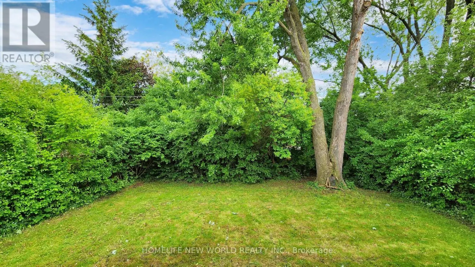 11 ELYNHILL DRIVE