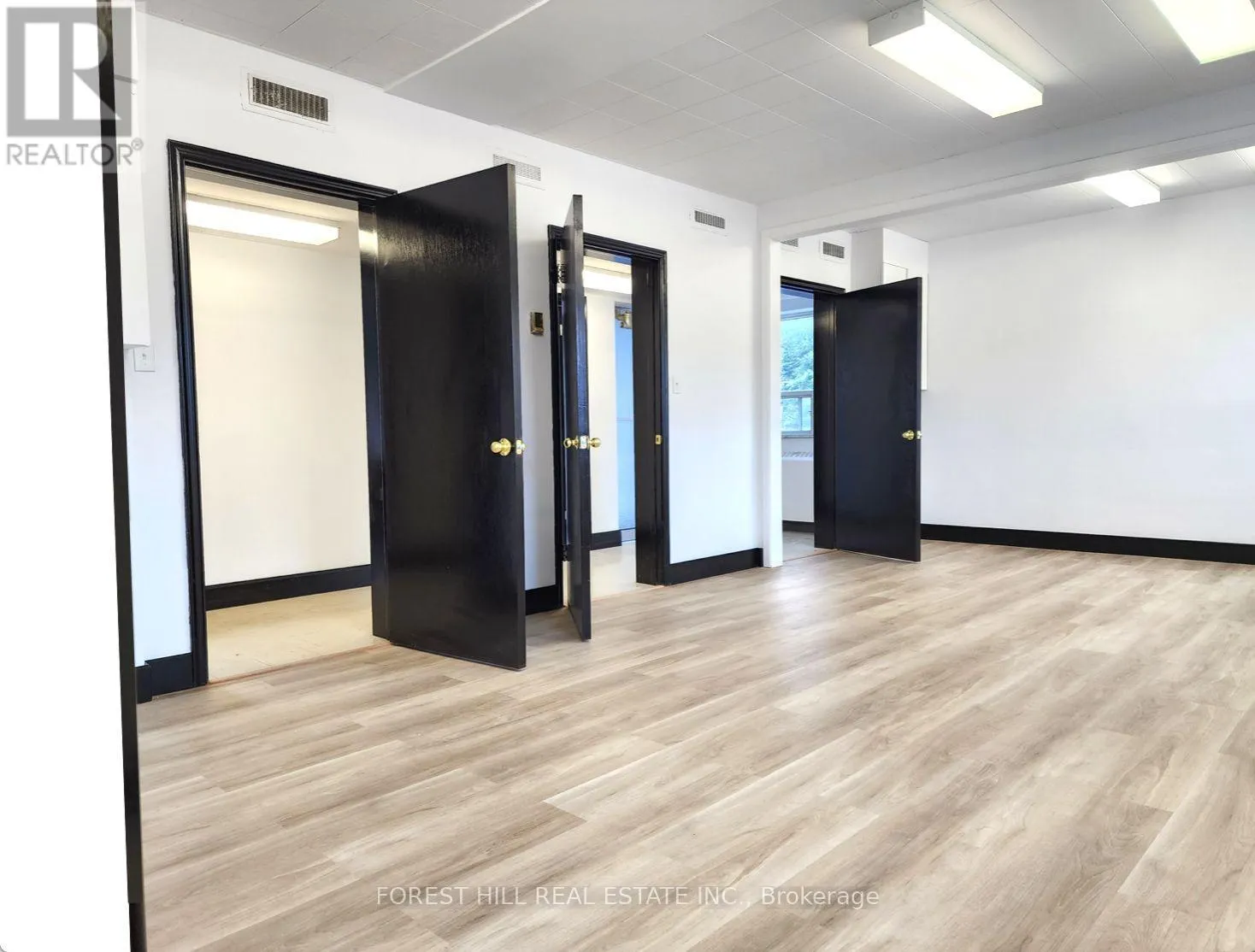 300 - 226 BATHURST STREET