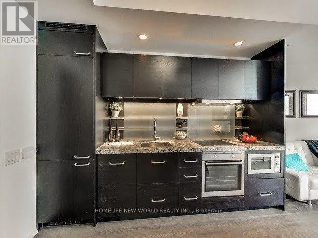 4305 - 45 CHARLES STREET E