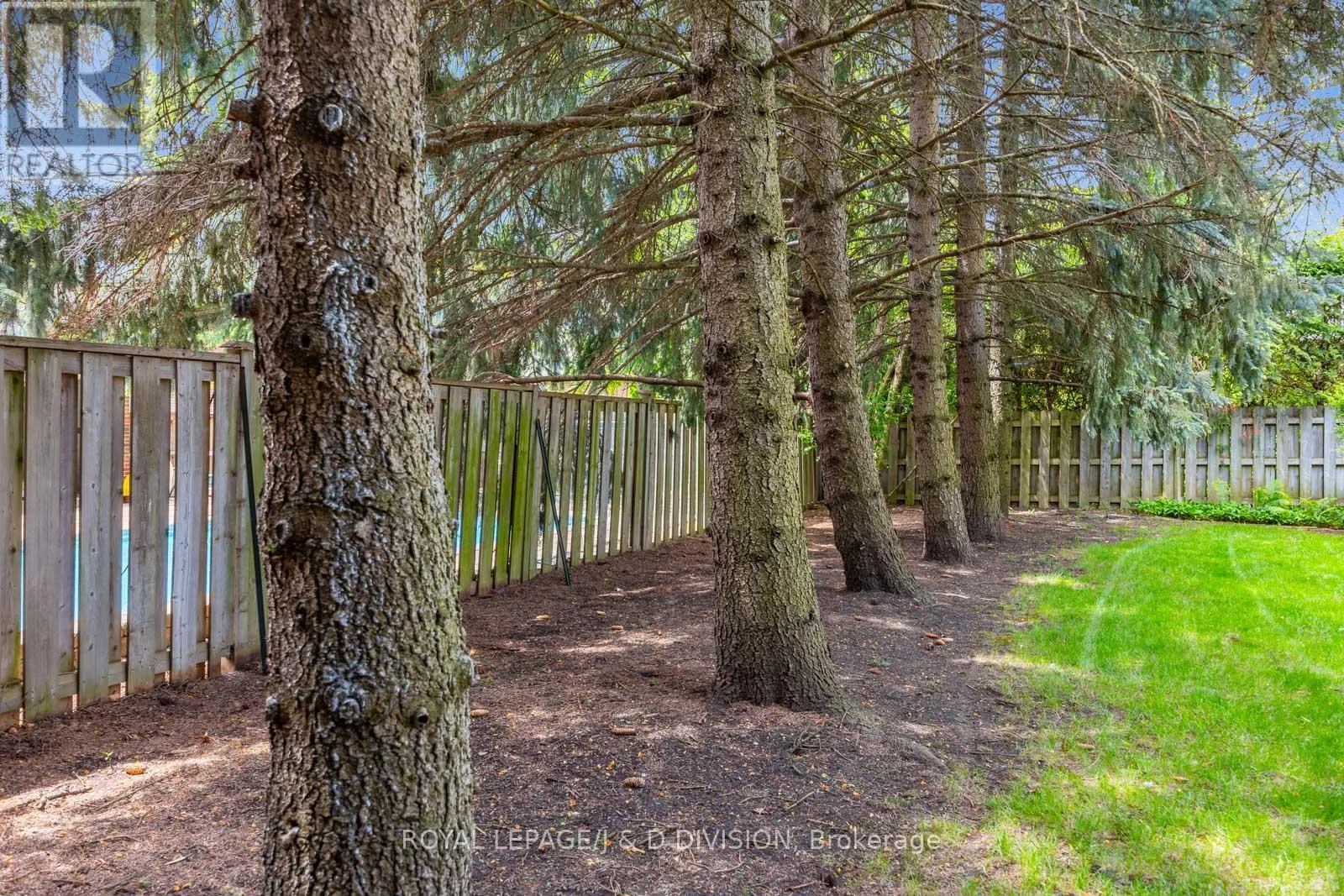 31 GEORGE HENRY BOULEVARD