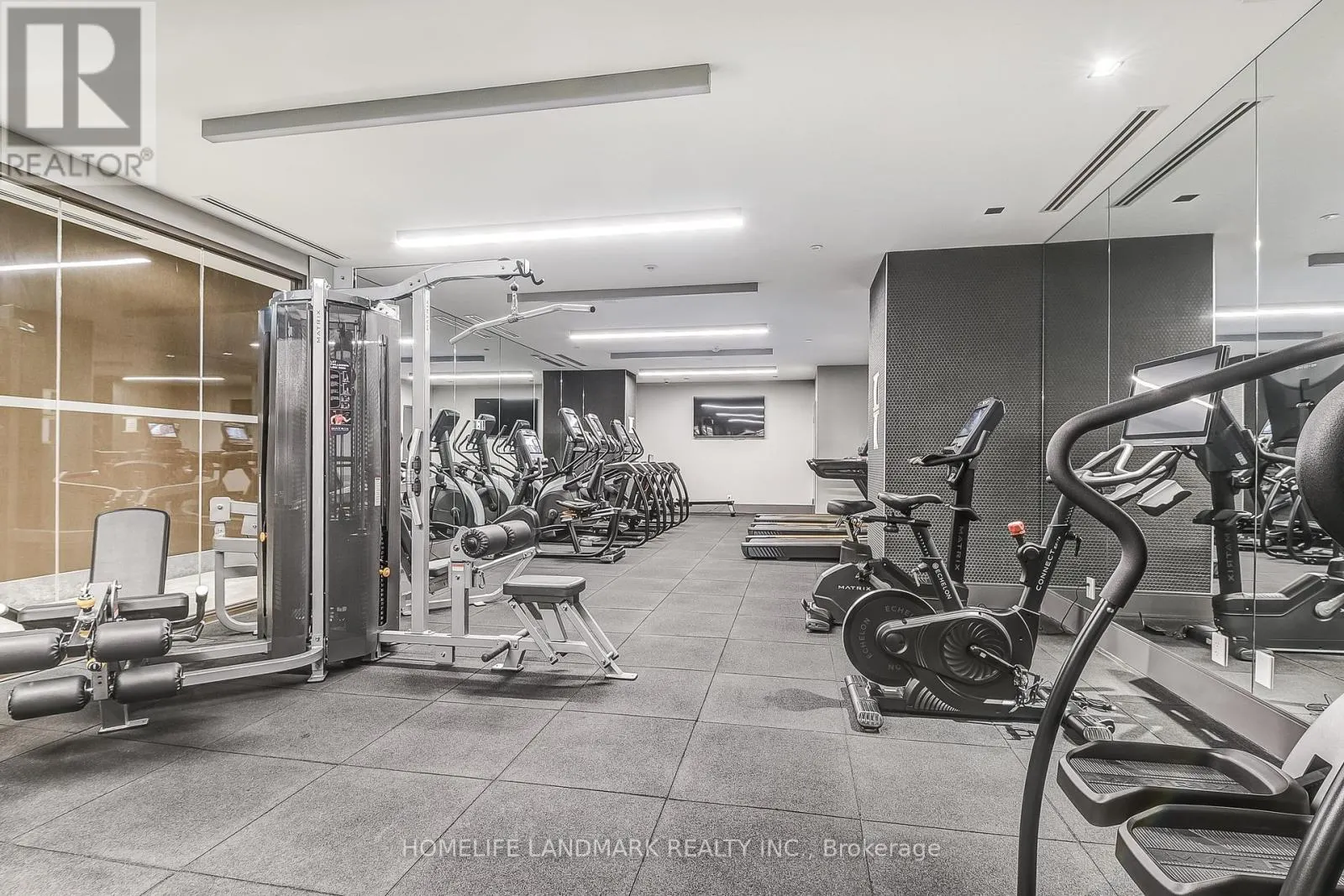 3625 - 28 WIDMER STREET