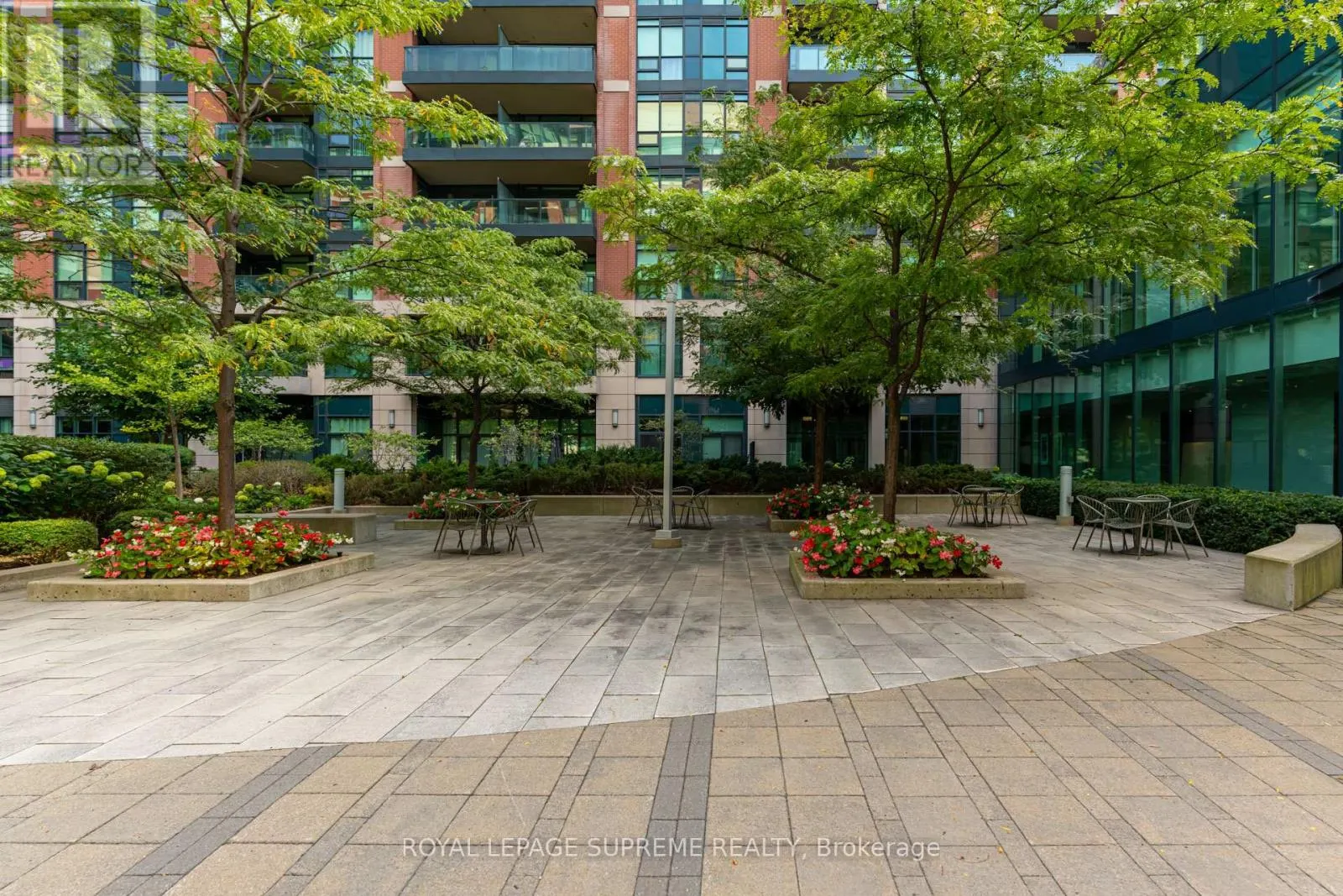 533 - 525 WILSON AVENUE