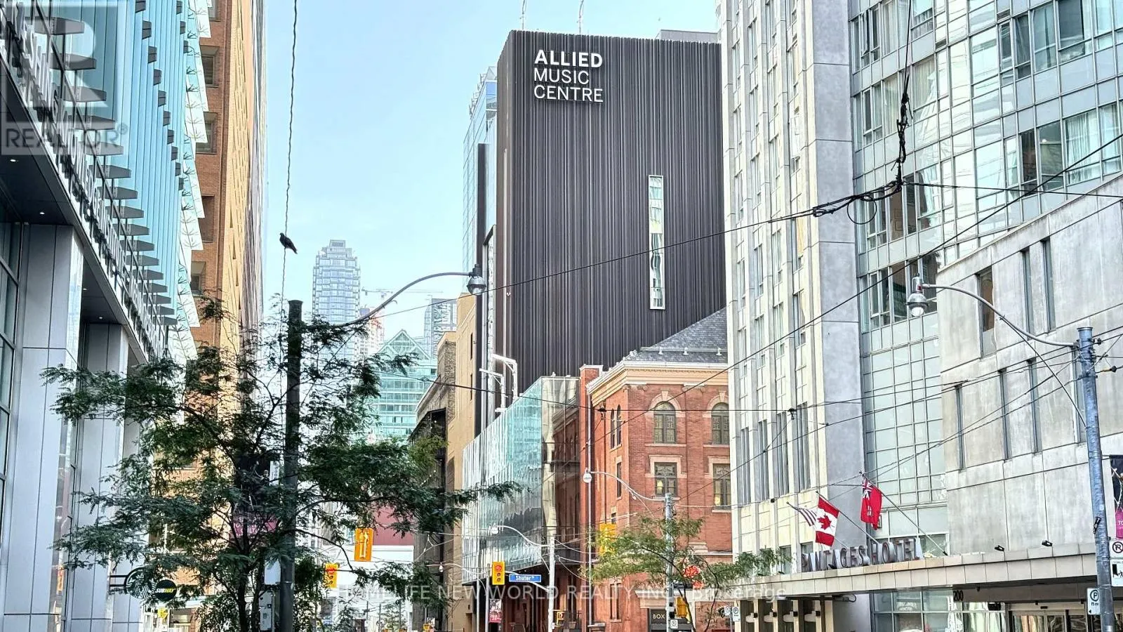 1806 - 220 VICTORIA STREET