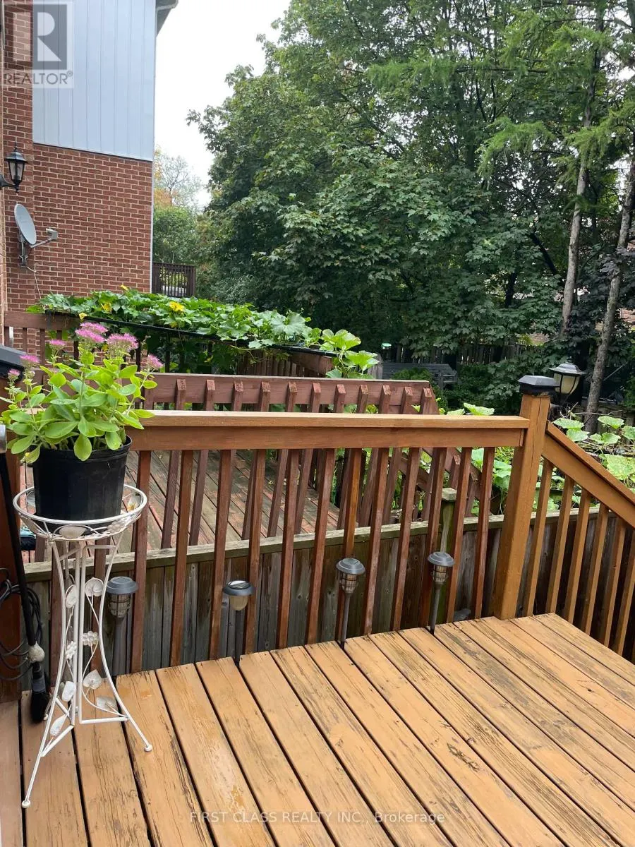 67 CARNIVAL COURT