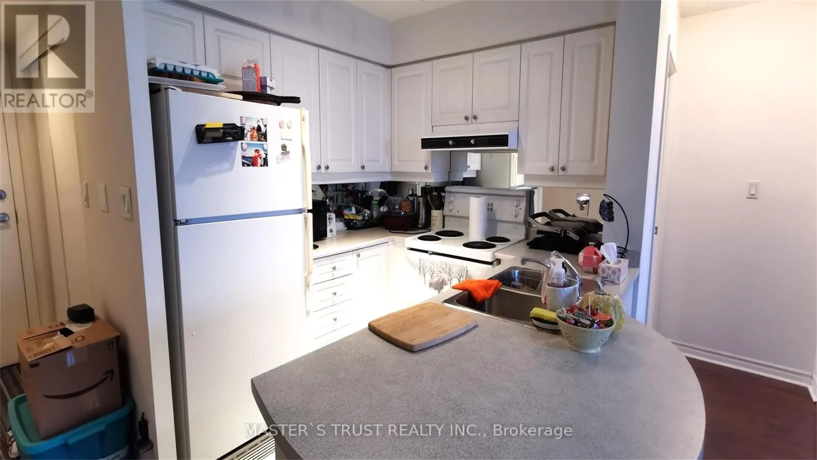509 - 3 REAN DRIVE