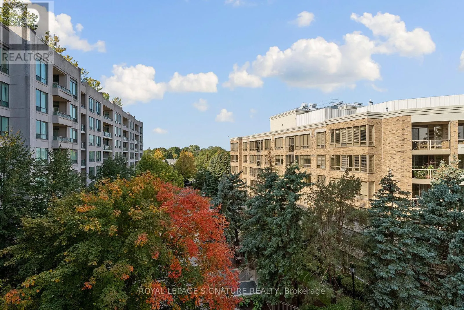 521 - 205 THE DONWAY W