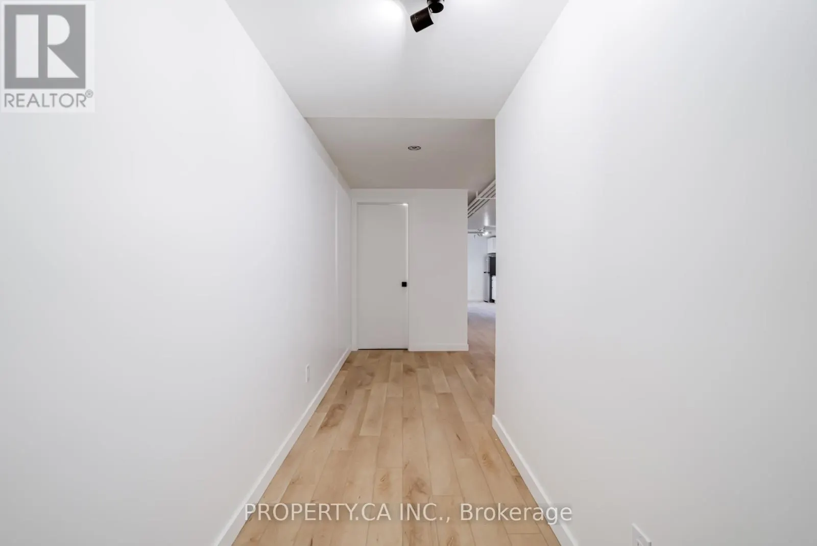 BASEMENT - 372 SAINT CLARENS AVENUE