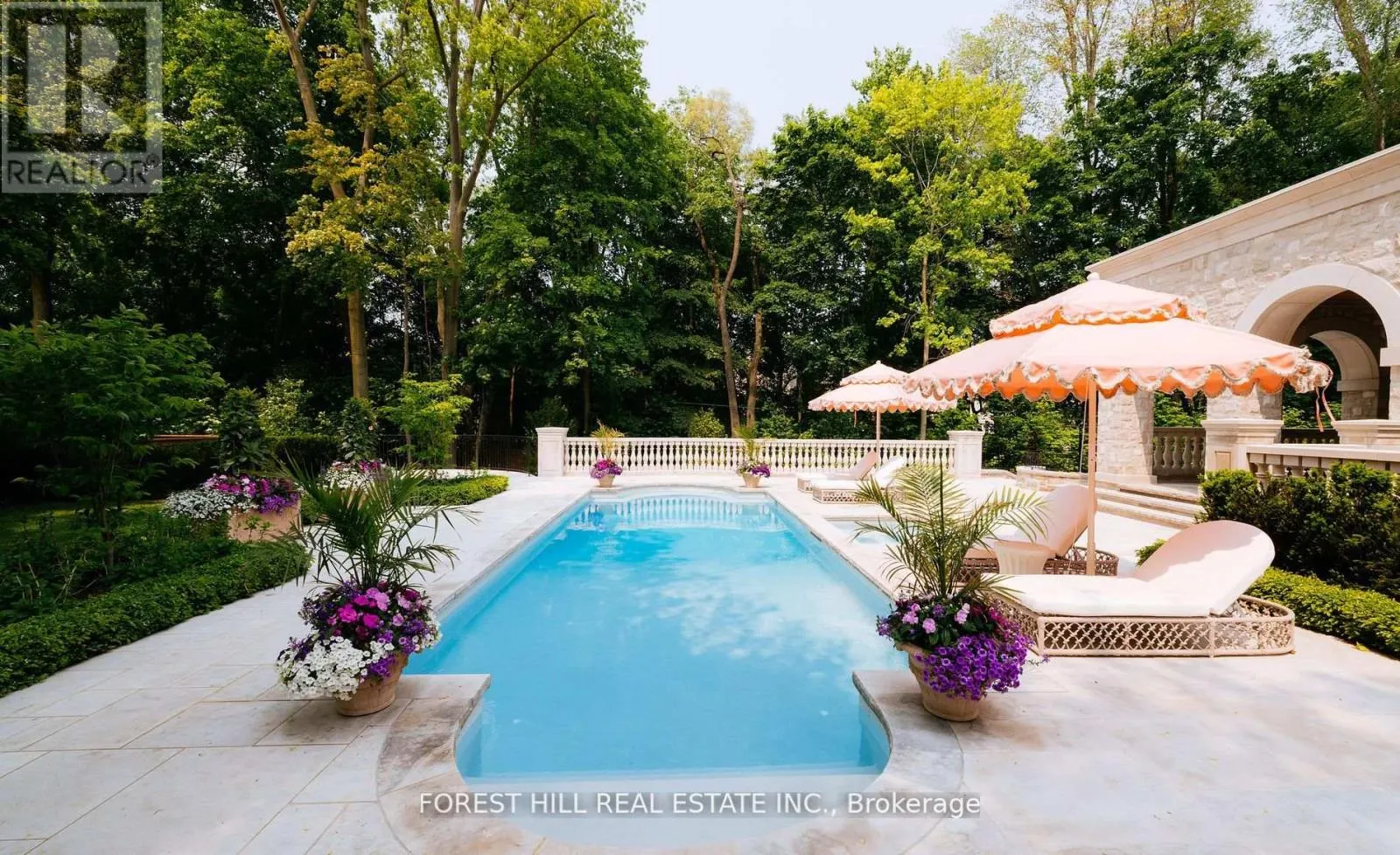 221 FOREST HILL ROAD