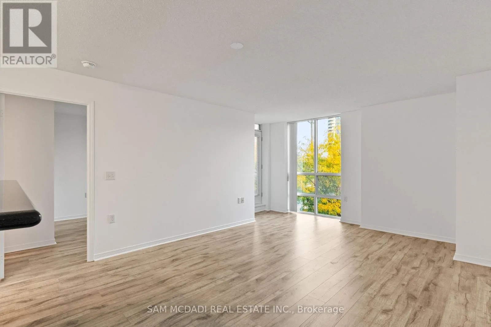 206 - 20 OLIVE AVENUE