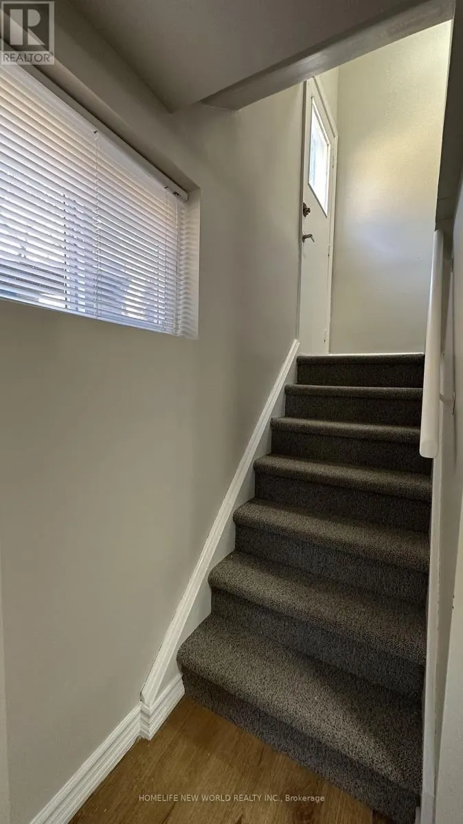 BASEMENT - 217 BRIGHTON AVENUE
