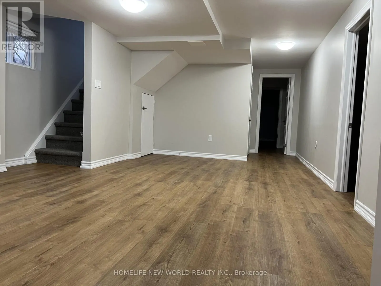 BASEMENT - 217 BRIGHTON AVENUE