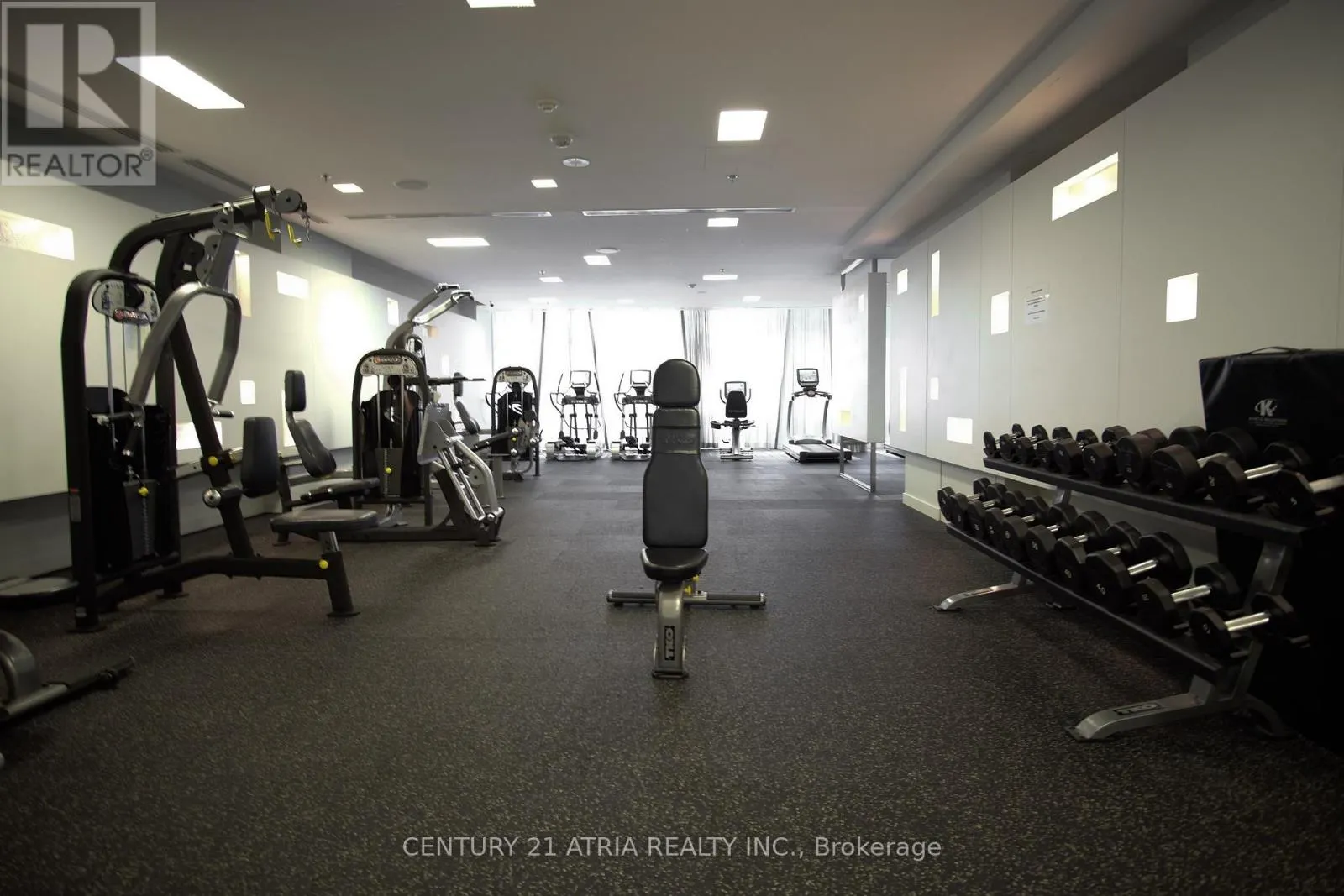 28 TED ROGERS WAY