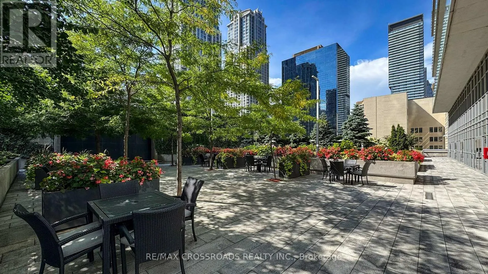 1602 - 386 YONGE STREET