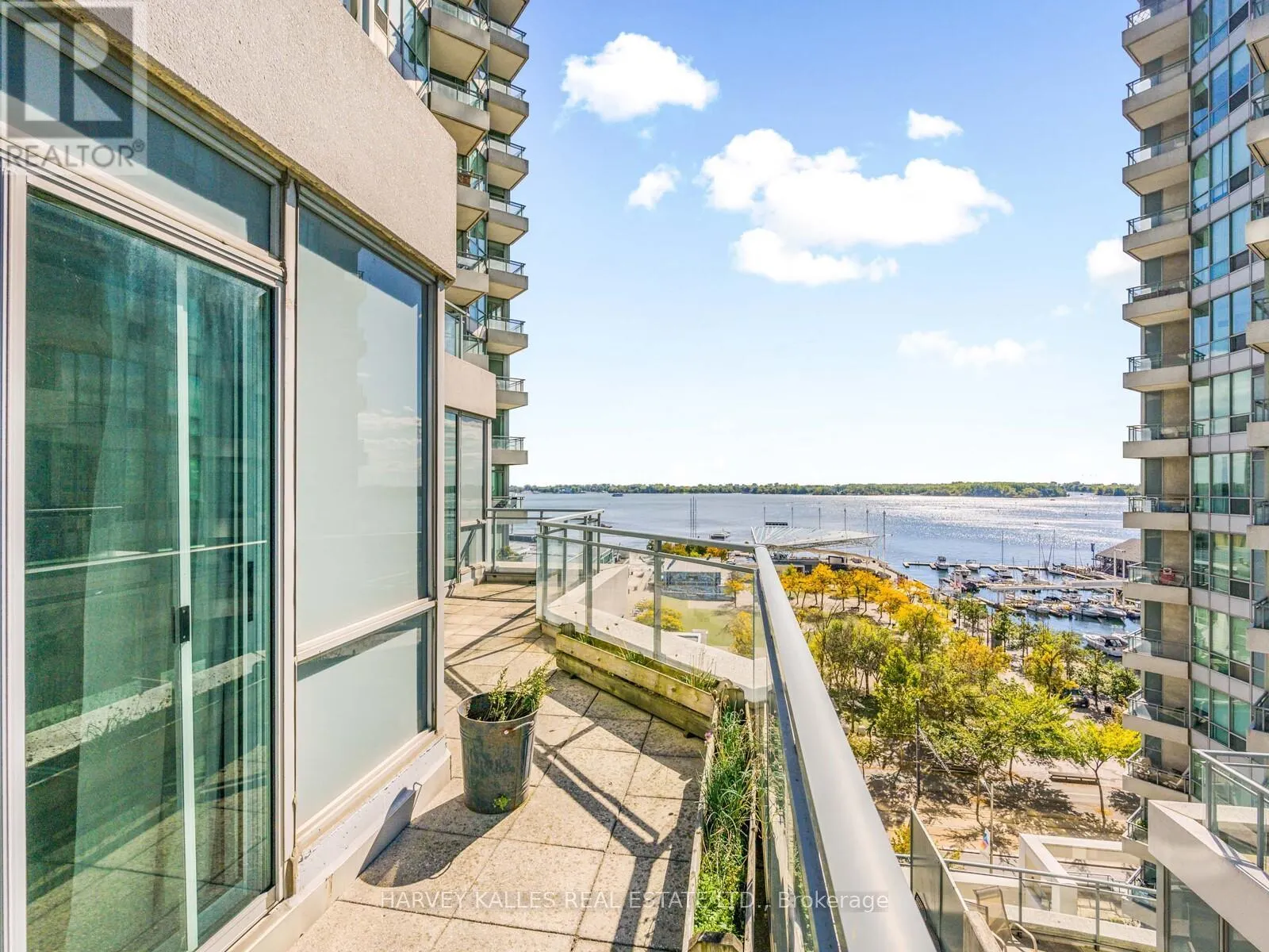1115 - 228 QUEENS QUAY W