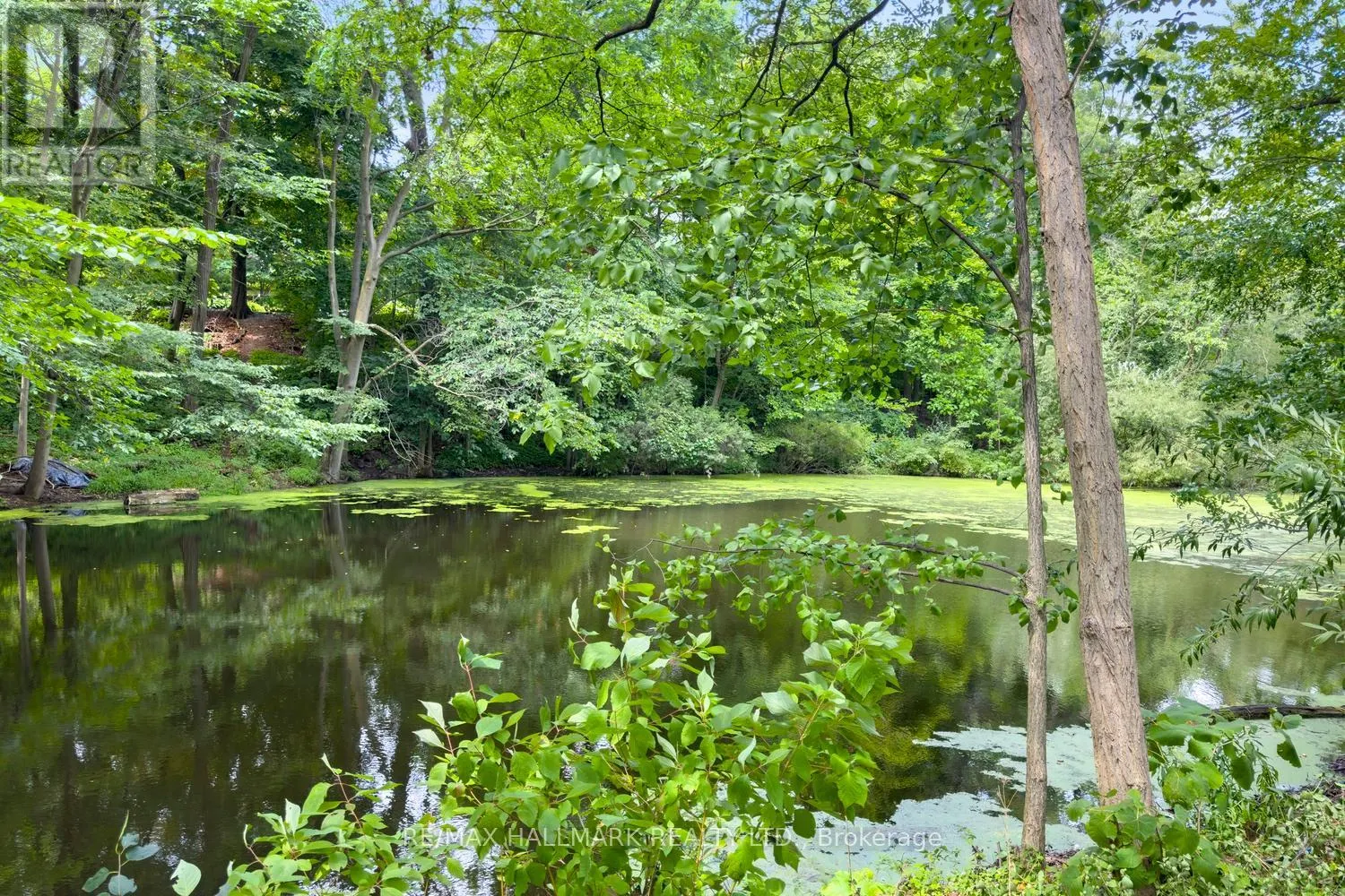 78 WYCHWOOD PARK