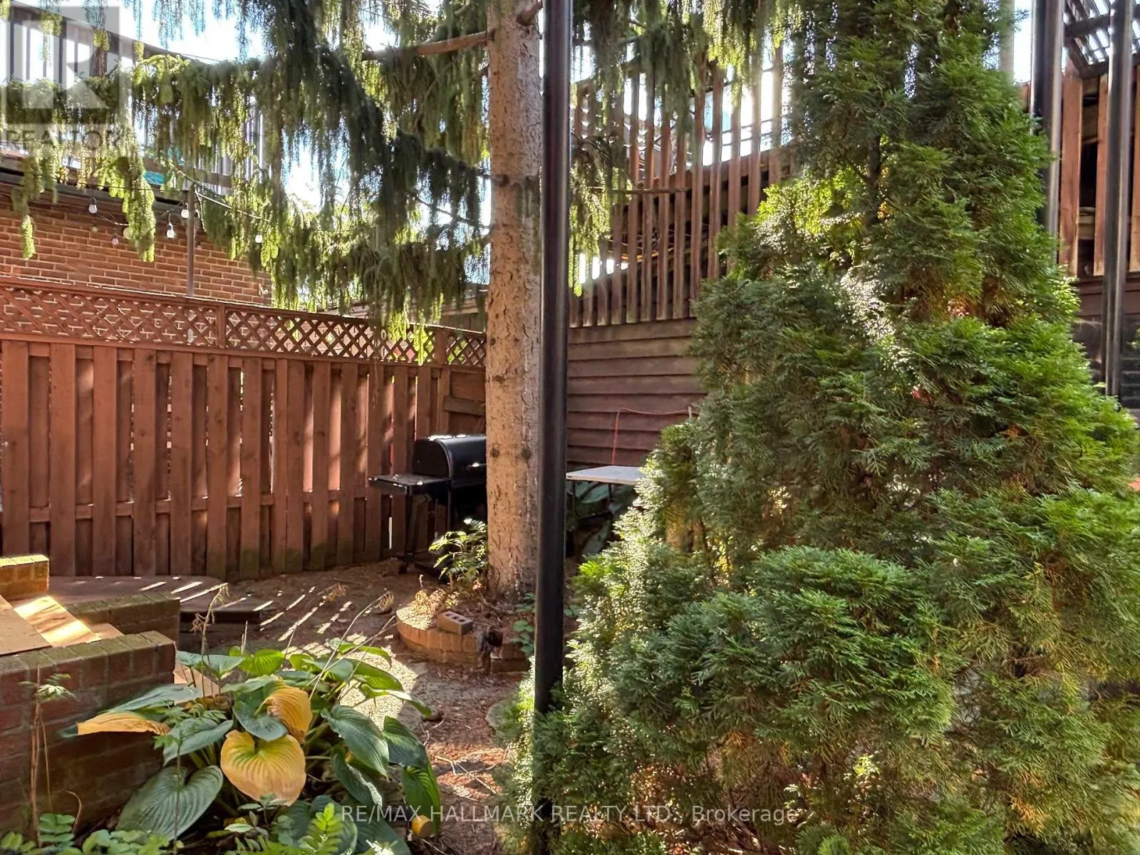 BSMT - 588 SPADINA AVENUE