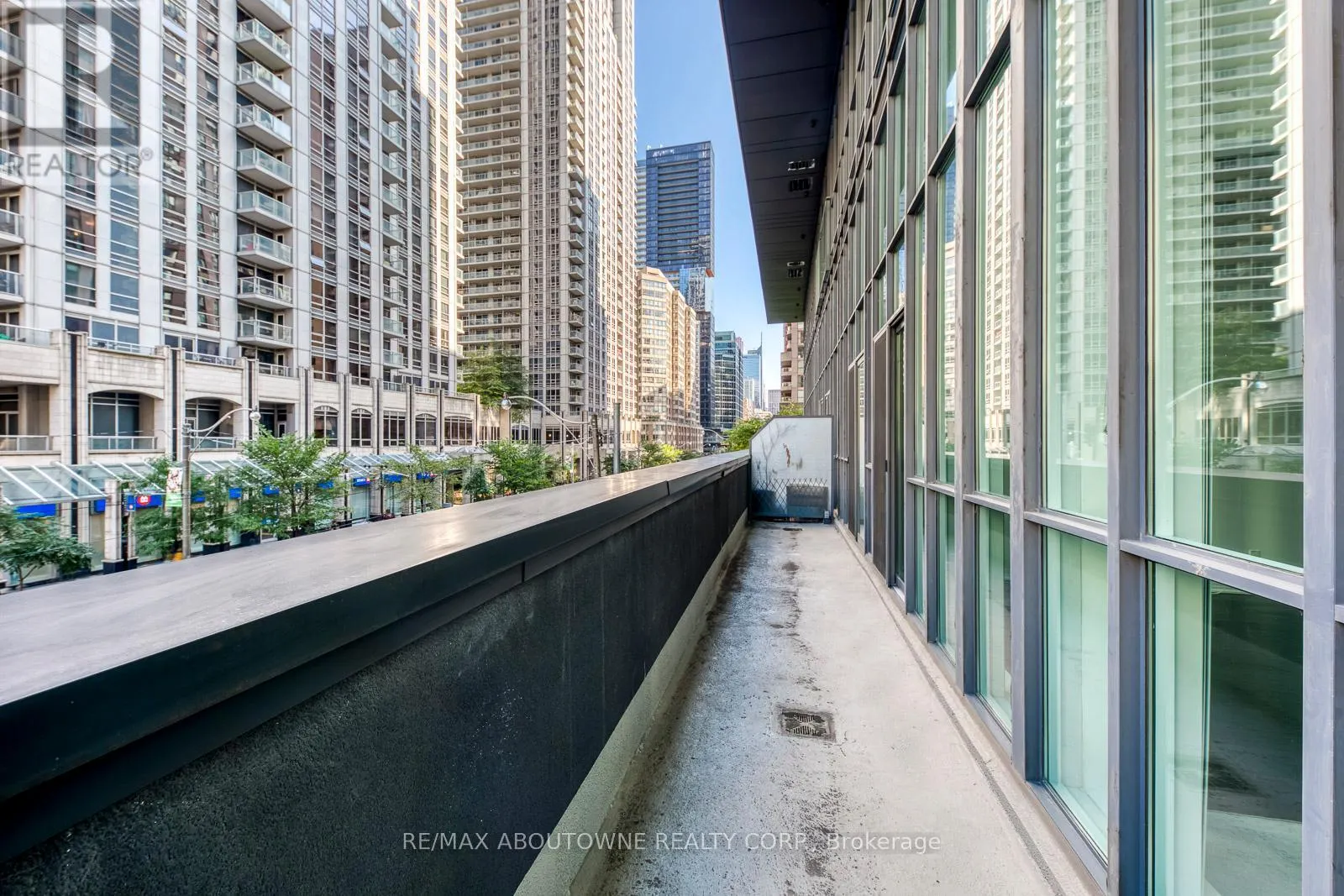202 - 770 BAY STREET