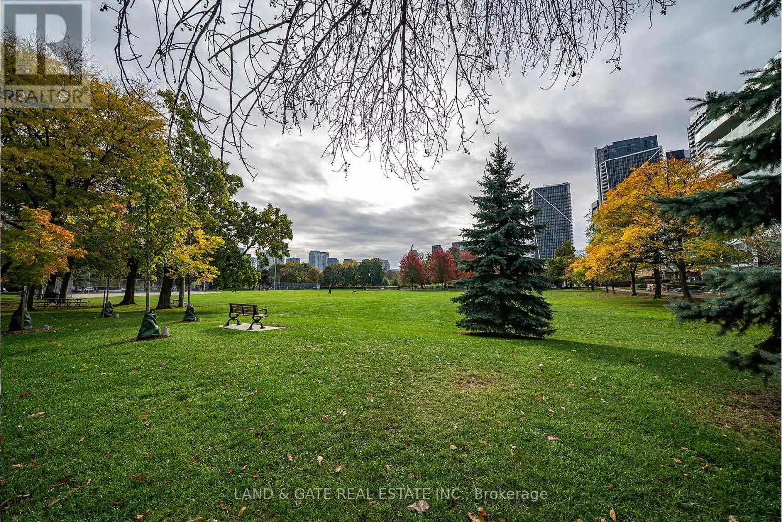 202 - 18 STAFFORD STREET, #202