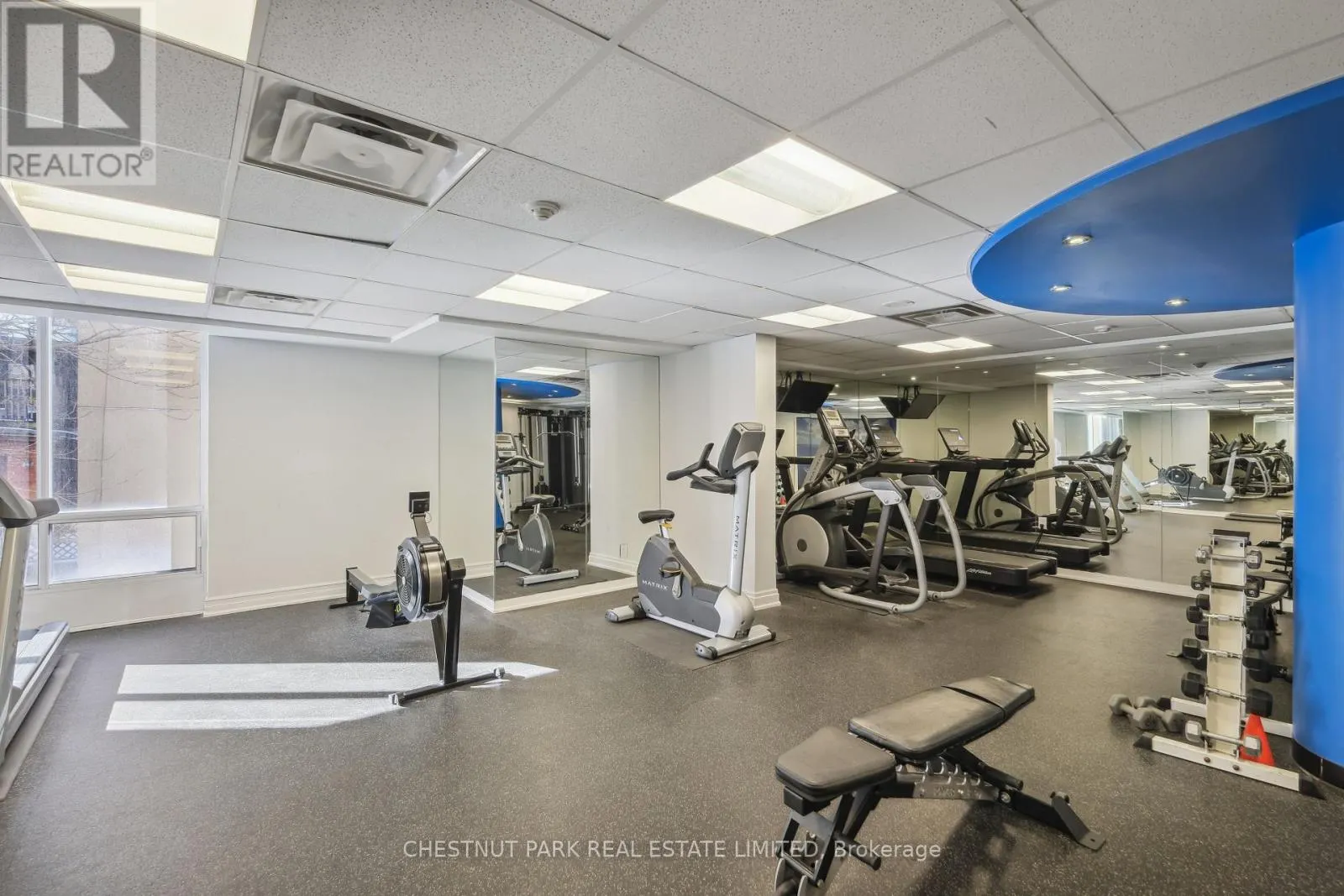 1014 - 85 BLOOR STREET E