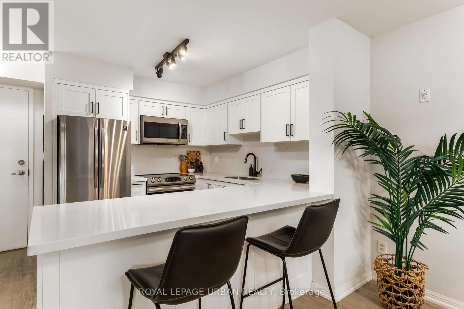 319 - 39 SHANK STREET