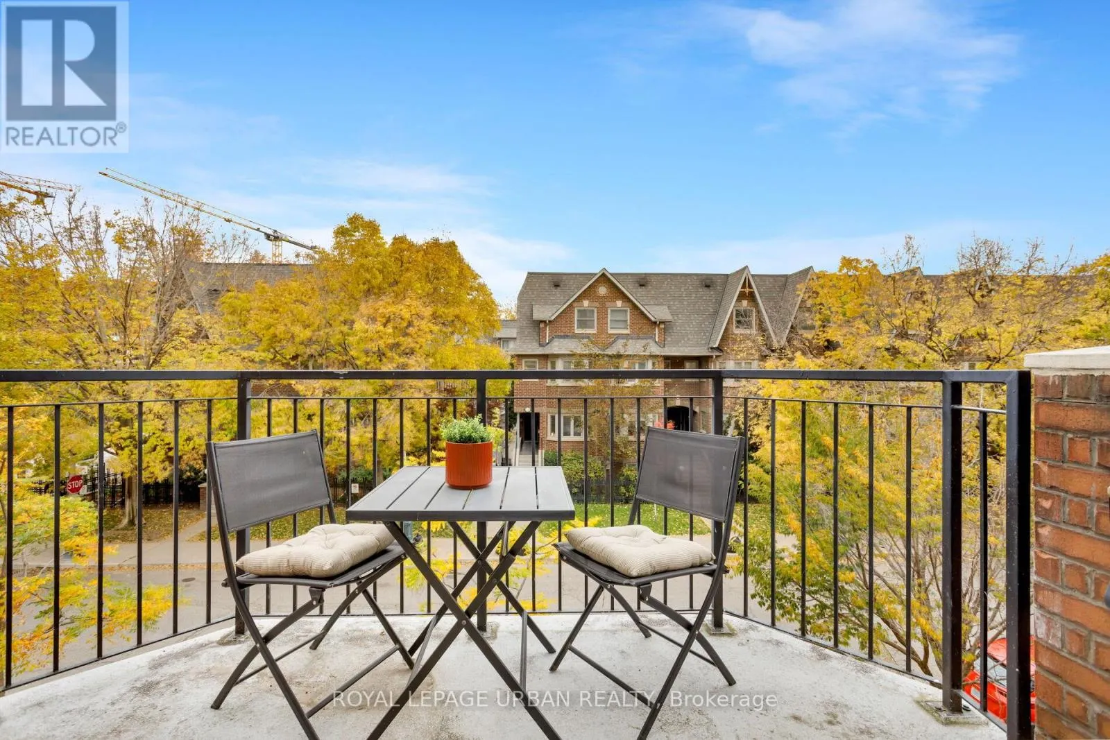 319 - 39 SHANK STREET