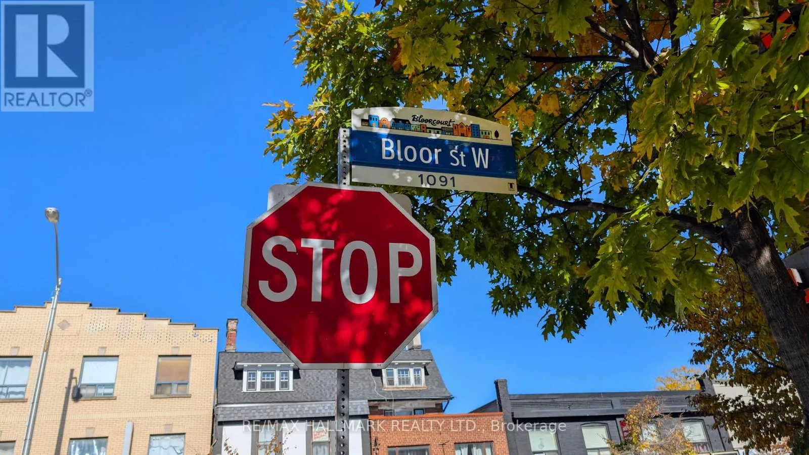 #2 MAIN - 519 GLADSTONE AVENUE