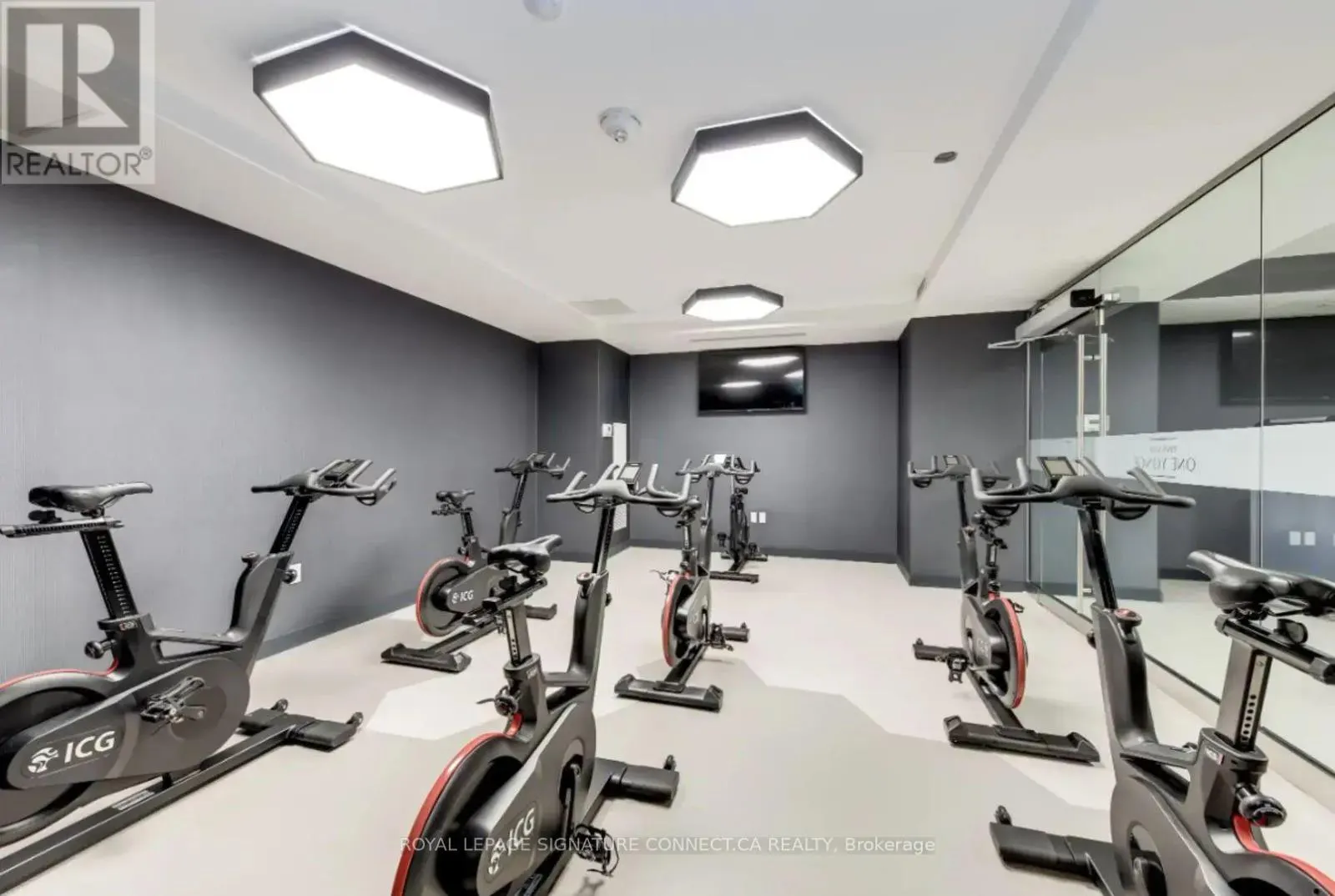 2006 - 28 FREELAND STREET